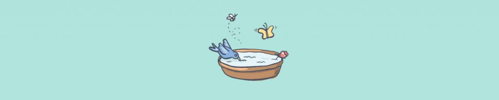wasserschale wasser vögel insekten naturschutz garten Balkon