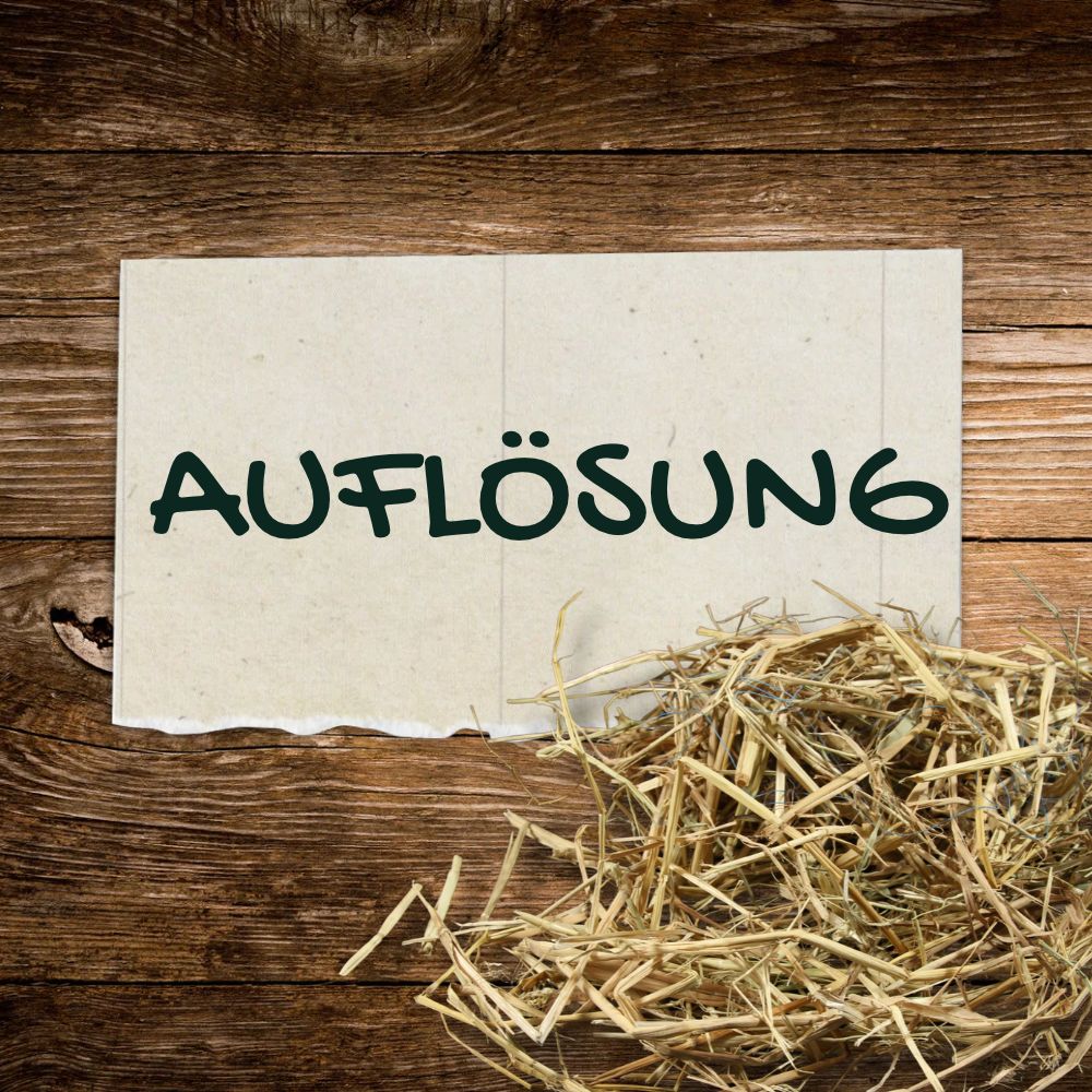 Auflösung